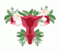 World Congress on Gynecology, Obstetrics and Women's Health 2024 International Conference Poster